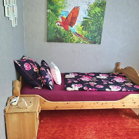 Ferienwohnung Kespergarten 维岑豪森 外观 照片