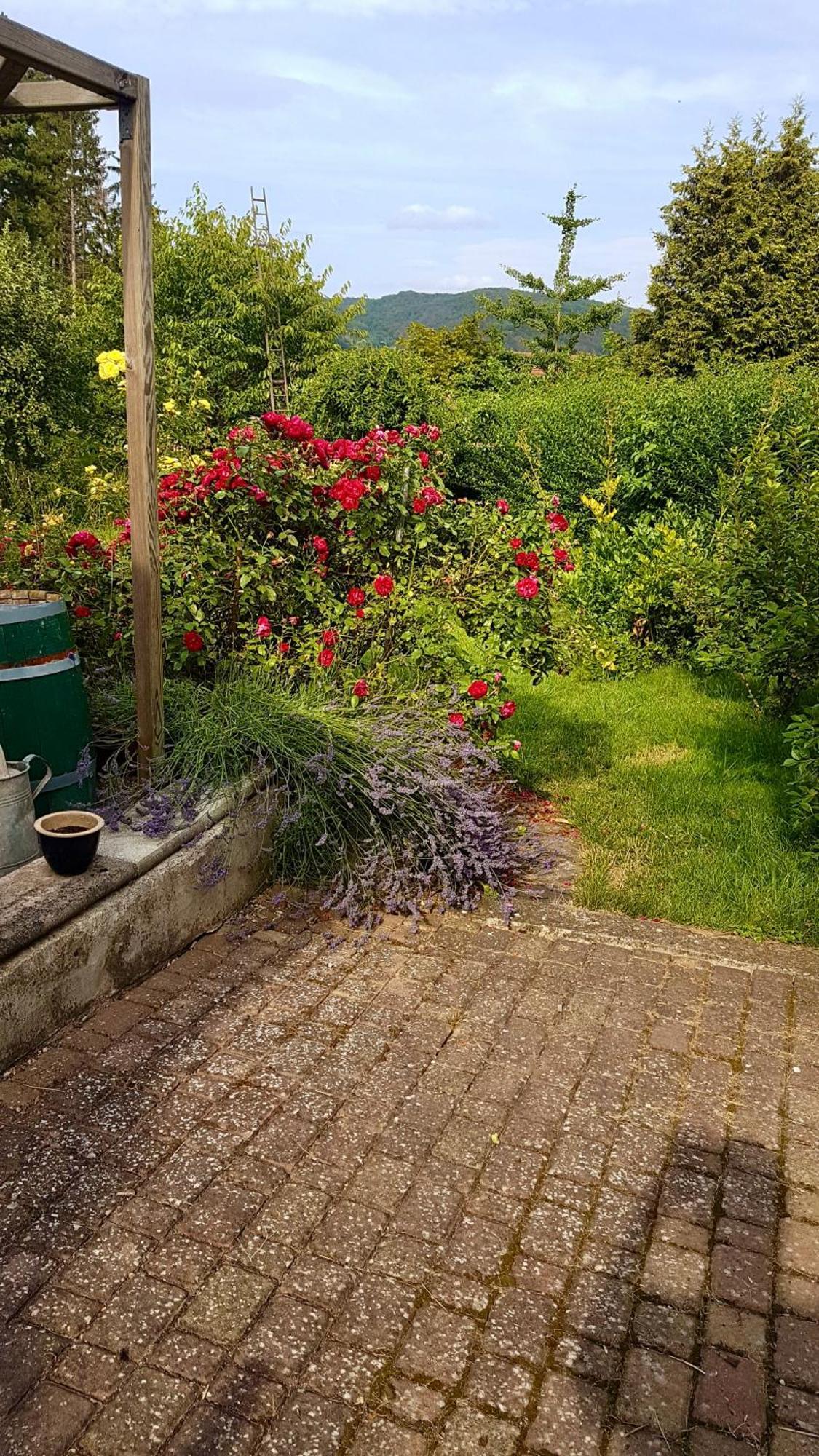 Ferienwohnung Kespergarten 维岑豪森 外观 照片