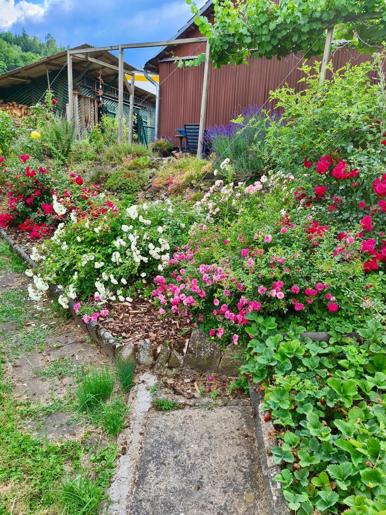 Ferienwohnung Kespergarten 维岑豪森 外观 照片